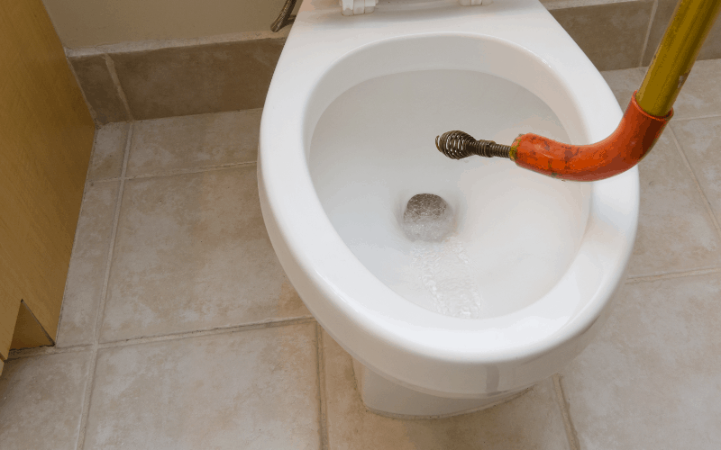 Plumber’s Snake Plumber’s Snake