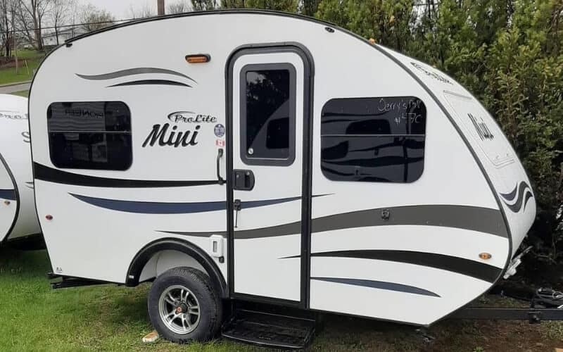 2019 ProLite Mini 13