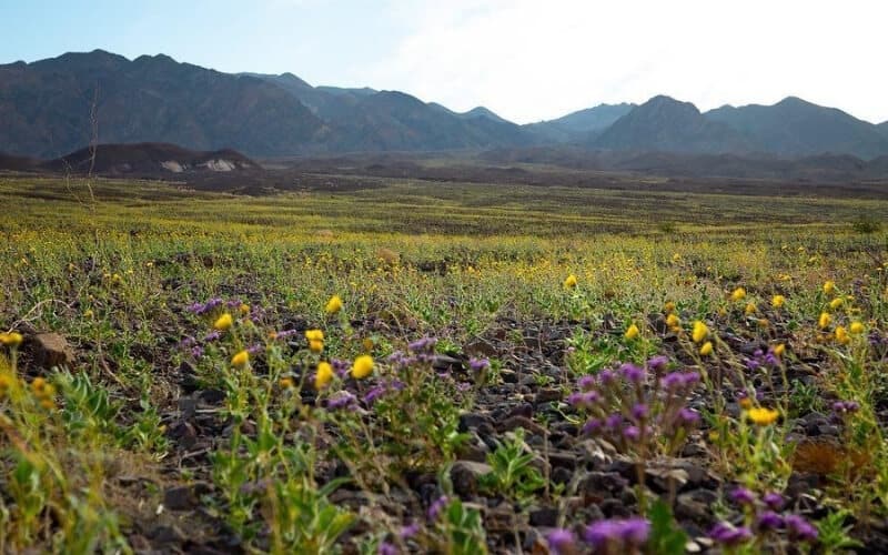 Death Valley National Park