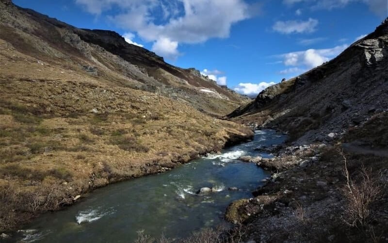 Denali National Park