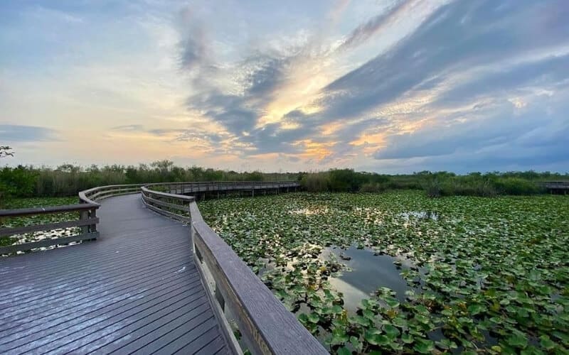 Everglades National Park