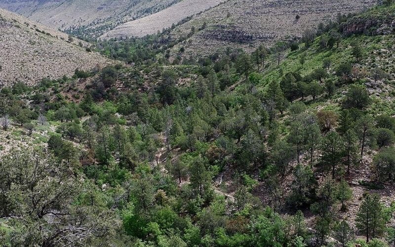 Guadalupe Mountains National Park