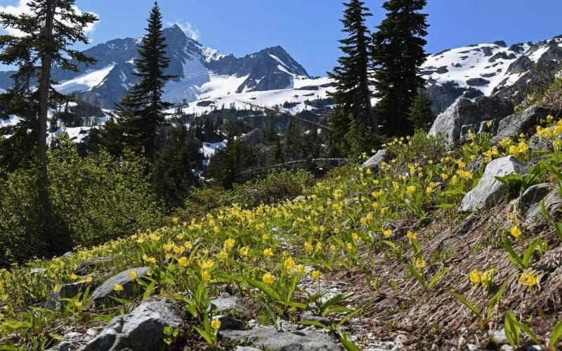 North Cascades National Park