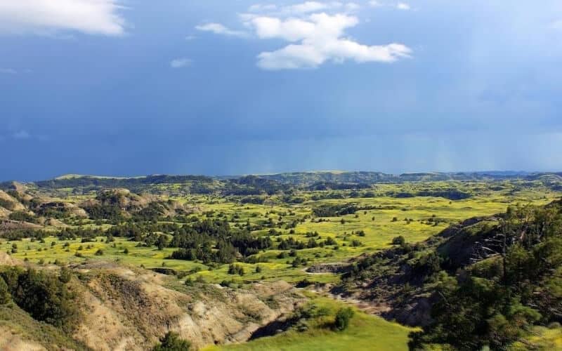 Theodore Roosevelt National Park 