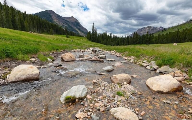 Yellowstone National Park