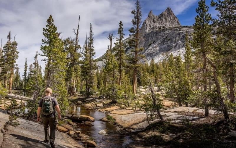 Yosemite National Park