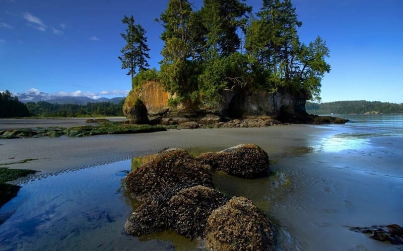 Washington State Olympic Peninsula Washington State Olympic Peninsula
