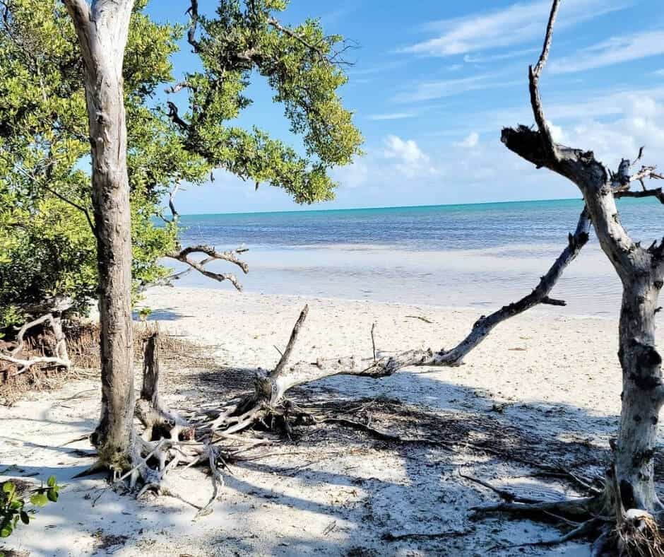 Long Key State Park (Long Key Beach)