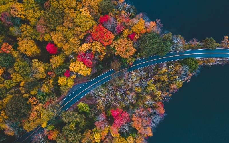 Blue Ridge Parkway