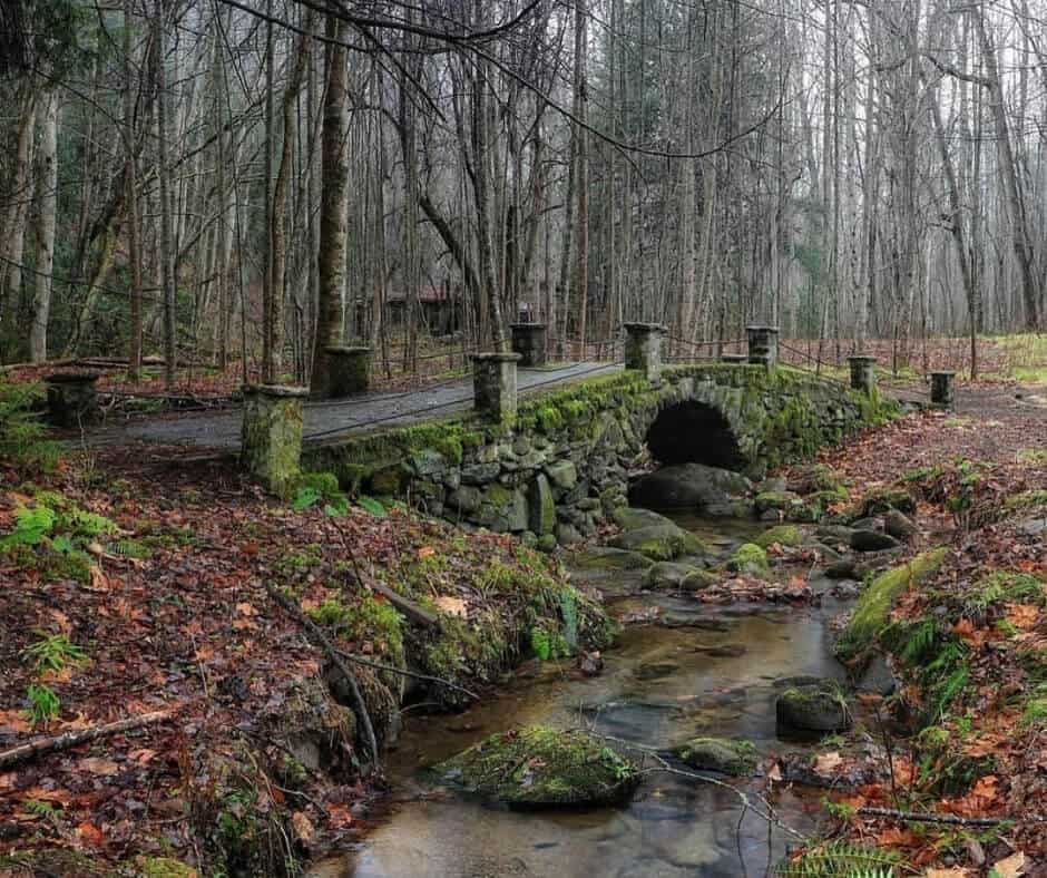 Great Smoky National Park