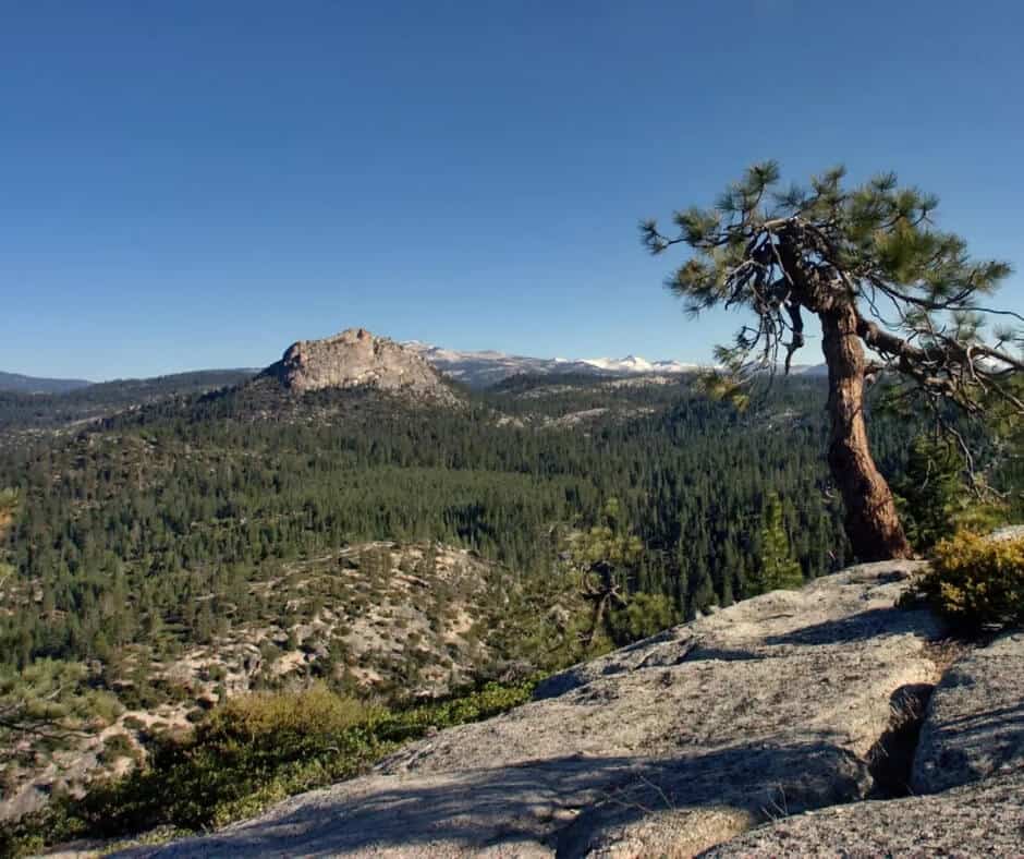 Jerseydale Campground