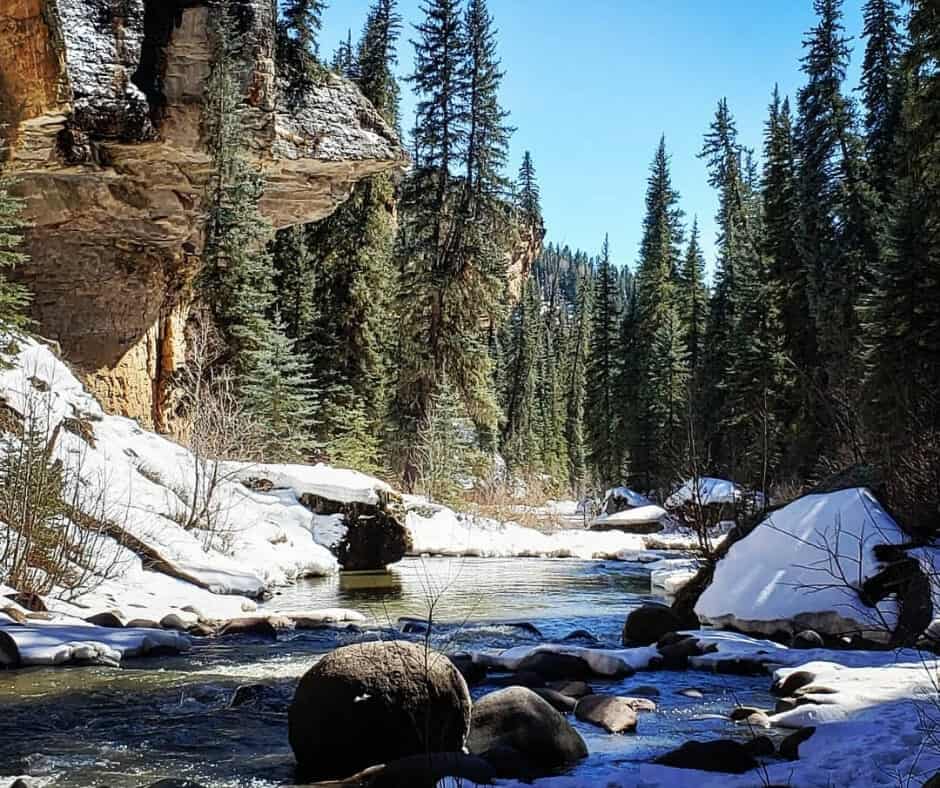 Jackson Road Dispersed Camping – Pagosa Springs Jackson Road Dispersed Camping – Pagosa Springs