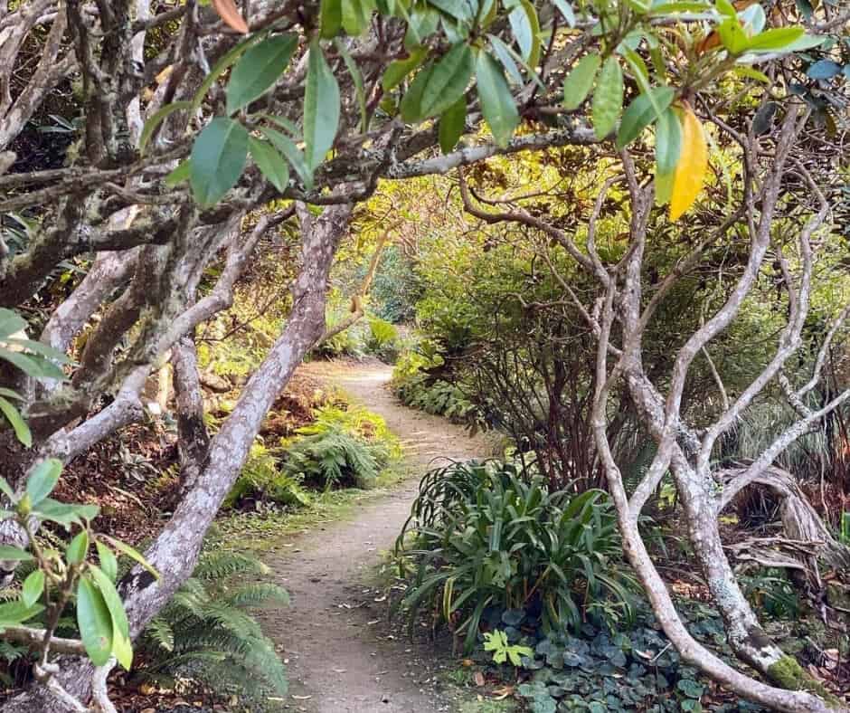 Mendocino Coast Botanical Gardens