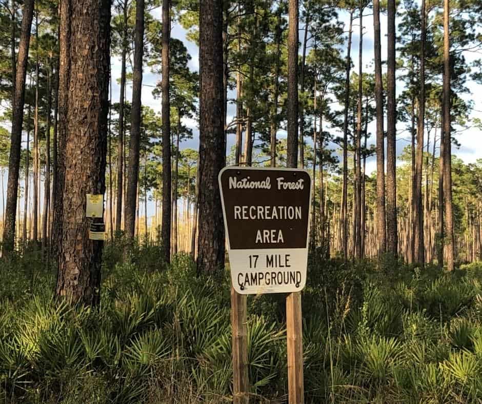 10 Incredible Free Camping Spots In Florida And How To Find More 3 17-Mile-Hunt-Camp-–-Osceola-National-Forest