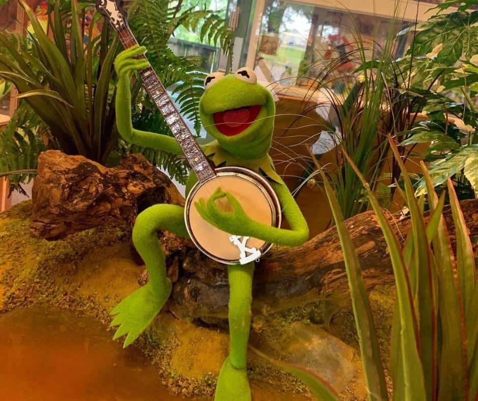 Weirdest Roadside Attractions in all 50 states across America 25 Birthplace-of-Kermit-the-Frog-Exhibit-Mississippi
