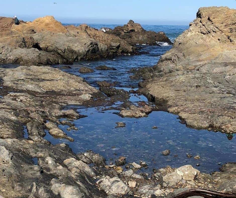Best RV Parks And Campgrounds In California To Get The Most Out Of The Golden State 6 Caspar-Beach-RV-Park-–-Mendocino