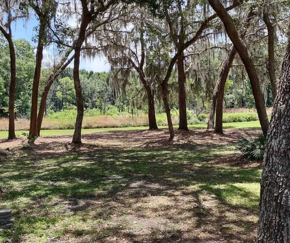 10 Incredible Free Camping Spots In Florida And How To Find More 6 Lake-Panasoffkee-Campgrounds-–-Wildwood