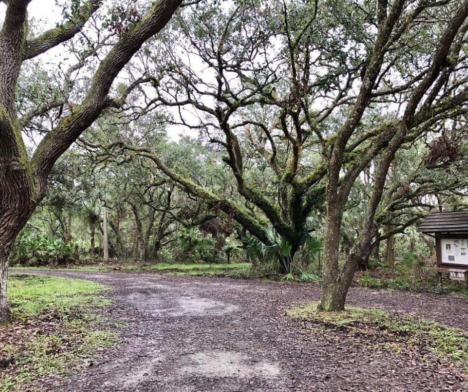 10 Incredible Free Camping Spots In Florida And How To Find More 12 Town of KICCO Campground – River Ranch