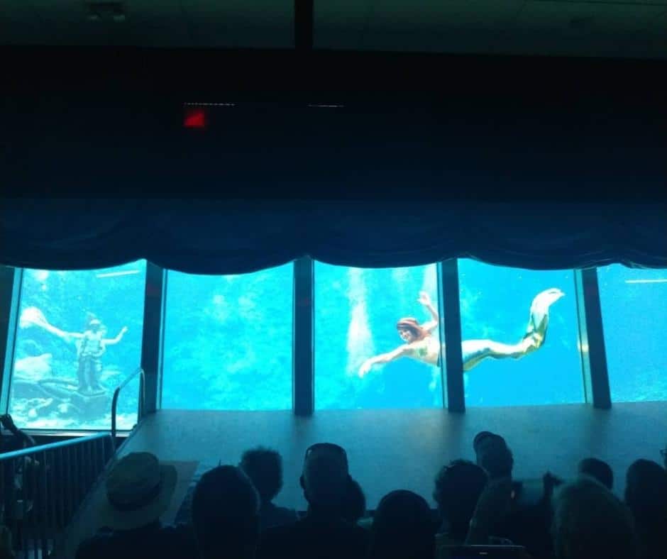 Weirdest Roadside Attractions in all 50 states across America 10 WeekiWachee-Live-Mermaid-Show-Florida