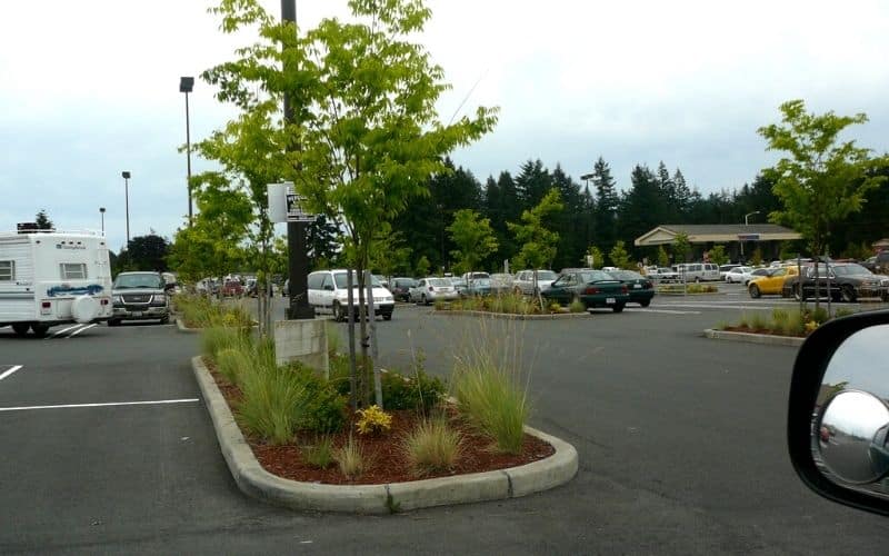 Can You Park At Costco Overnight?
