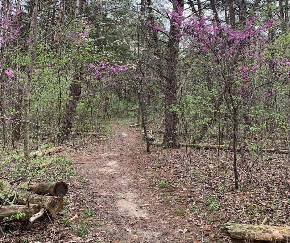 10 Incredible Free Camping Spots in Missouri You'll Love 11 Pine Ridge Campground – New Bloomfield