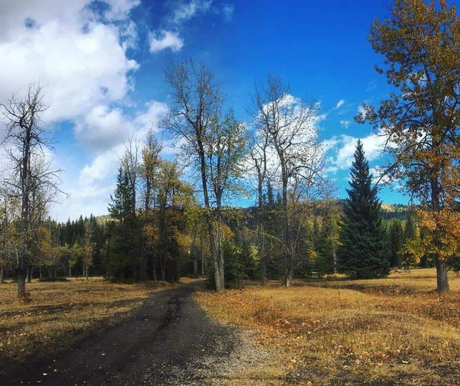 Round Prairie Interpretive Site – Mark Twain National Forest