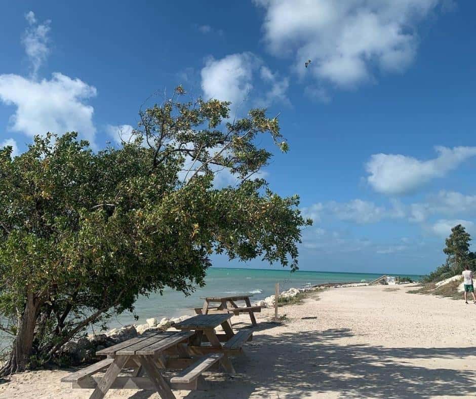 10 Epic RV Parks and Campgrounds in Key West, Florida For Sun Worshippers 4 Sunshine Key RV Resort