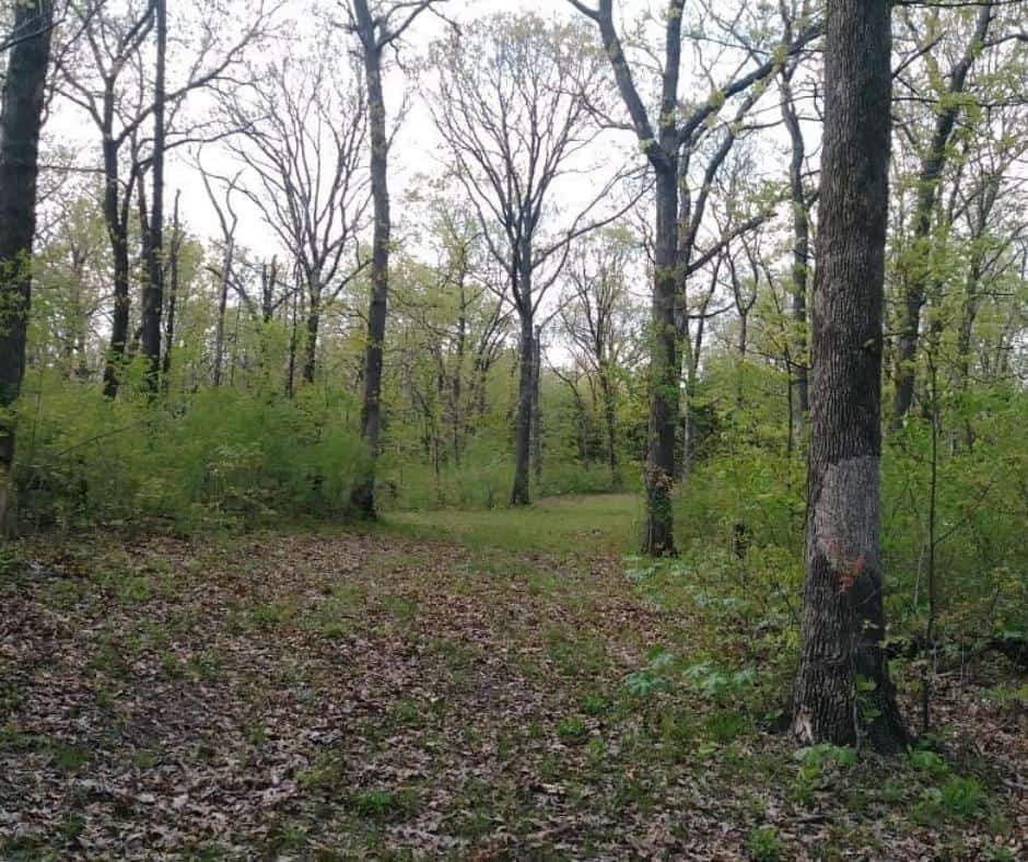 10 Incredible Free Camping Spots in Missouri You'll Love 9 Thomas Hill Reservoir Conservation Area – Excello