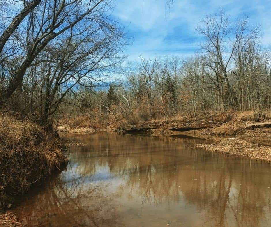 Whetstone Camping Area – Whetstone Creek Conservation Area