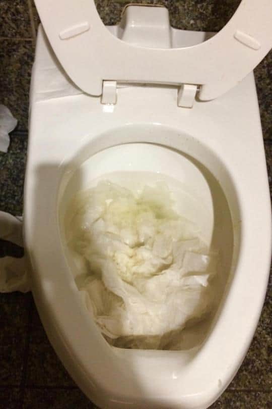 Don’t Flush Your Toilet Paper
