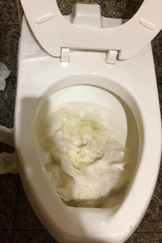 13 Smart Ways To Save Water When Dry Camping In An RV Or Van 10 Don’t Flush Your Toilet Paper