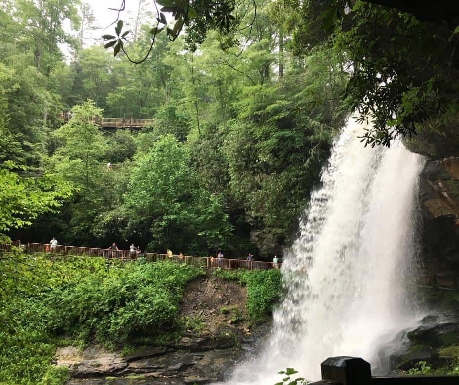 10 Best Places for Free Dispersed Camping in North Carolina 10 Blue Valley Dispersed Campground