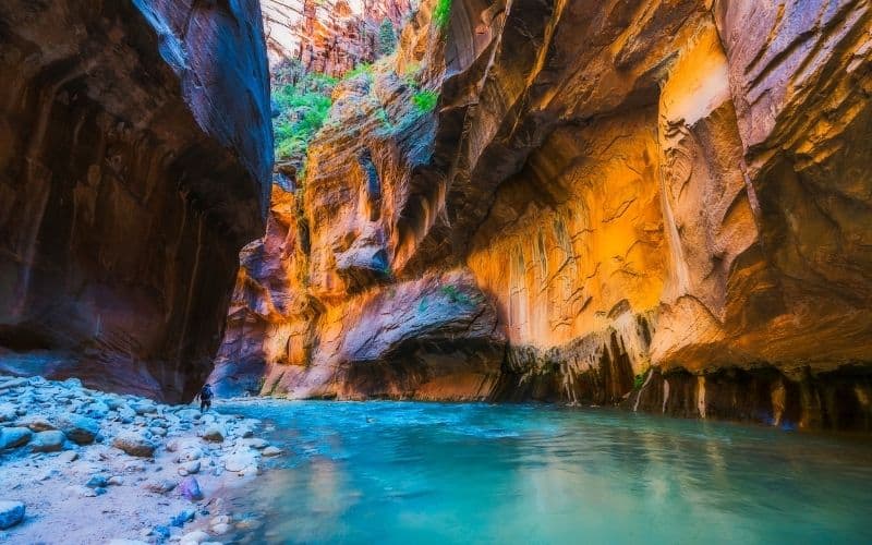 Narrow with vergin river in Zion National park,Utah,usa.