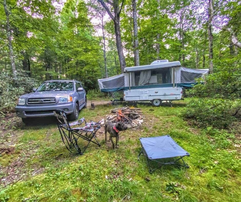 10 Best Places for Free Dispersed Camping in North Carolina 6 Victor Fields Dispersed Camping
