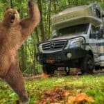 Can Bears Break into RVs