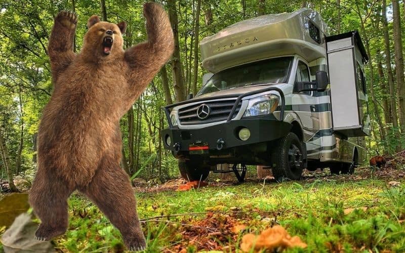 Can Bears Break into RVs