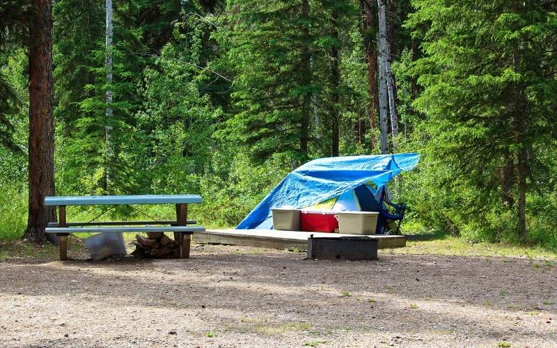 RVs And Bears: How To Camp Safely In Bear Country 5 Clean up your campsite