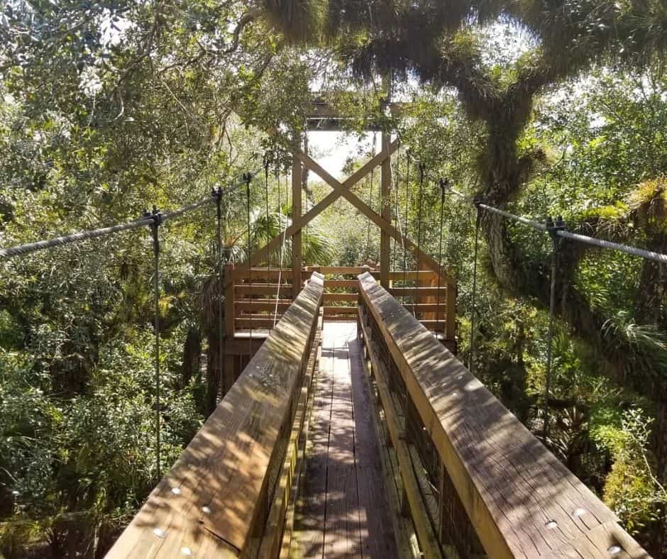 Myakka River State Park - Sarasota County