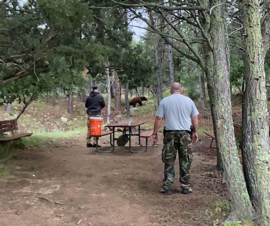 RVs And Bears: How To Camp Safely In Bear Country 11 Protecting Yourself Further