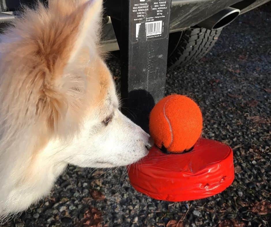 Greasing Your Trailer Hitch Ball: Why it's important and how to do it 12 How To Protect Your Ball Hitch When You Aren’t Using It