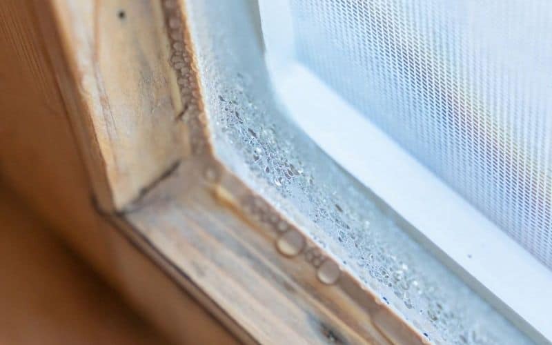 How to Reduce Moisture & Condensation in Your RV