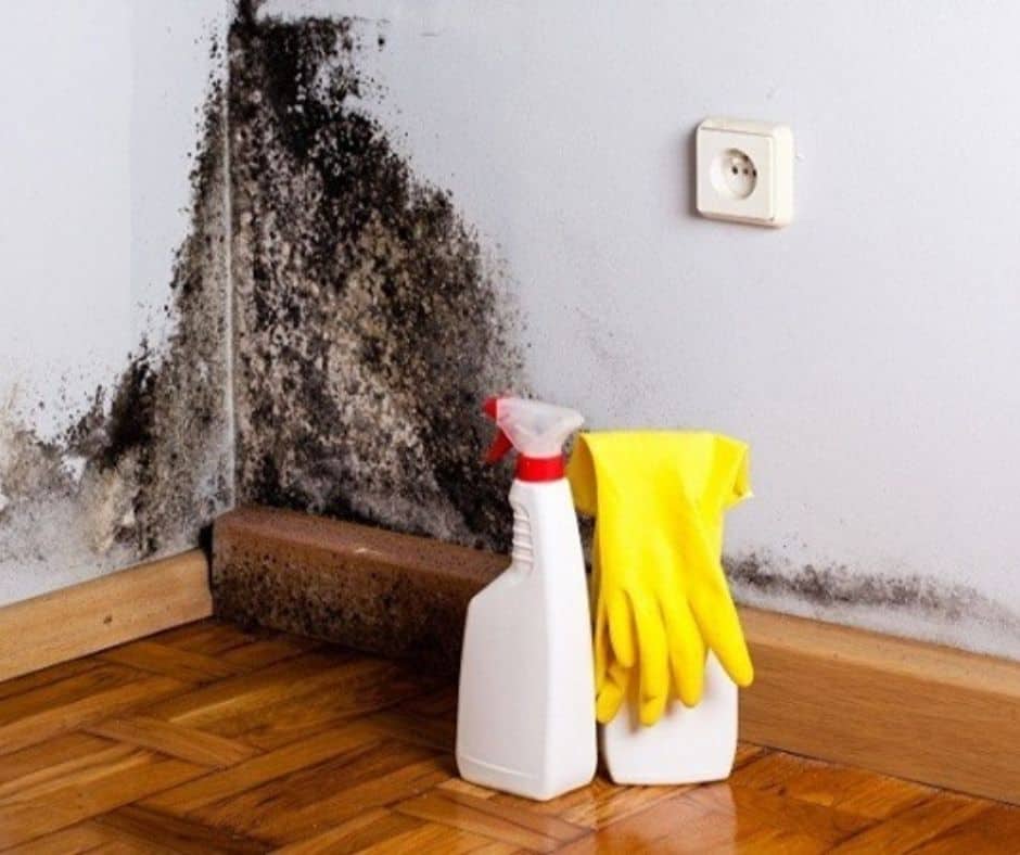 How to Find Prevent and Get Rid of Mold & Mildew in Your RV 5 How To Remove Mold From An RV