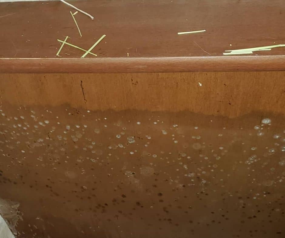 How to Find Prevent and Get Rid of Mold & Mildew in Your RV 3 Signs Of Mold In An RV