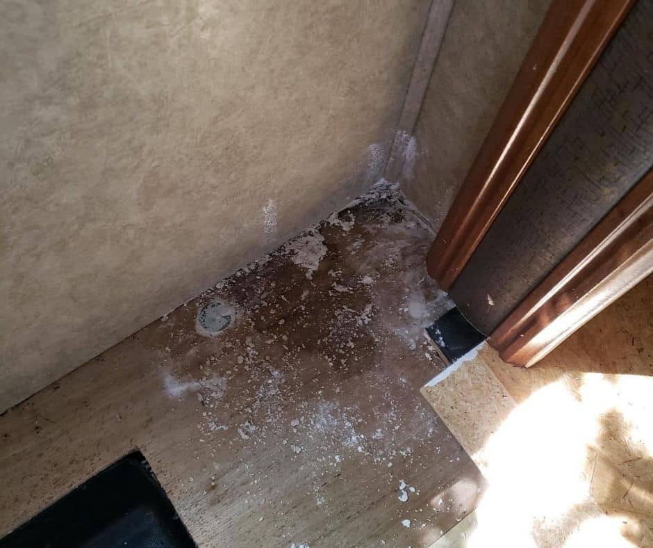 How to Find Prevent and Get Rid of Mold & Mildew in Your RV 2 What Causes Mold