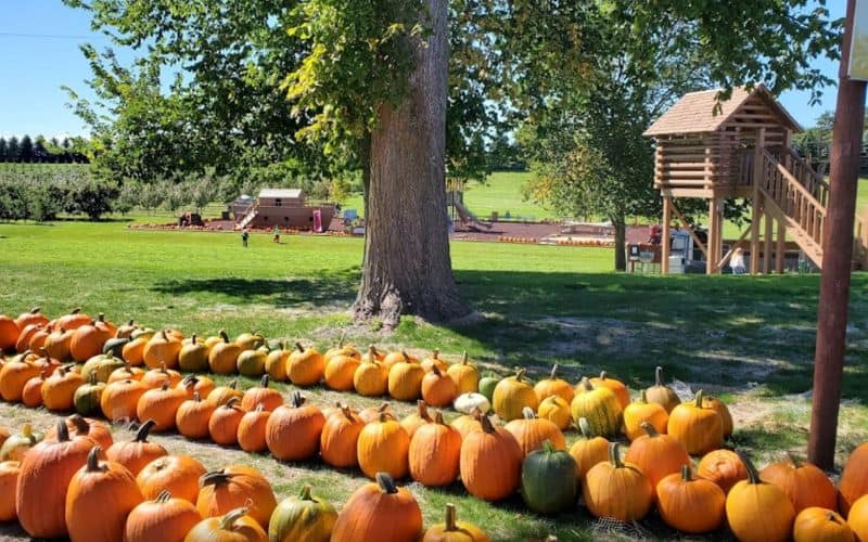 41 Stunning Campgrounds on Lake Michigan to Check Out in 2023 34 Friske Orchards and Farm Market