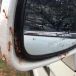 How To Get Rid Of Ants In Rv