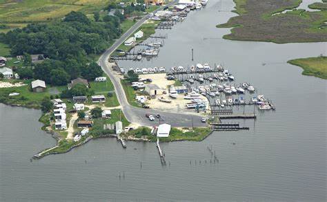 15 Best Oceanfront Campgrounds in NC 8 OIP 2