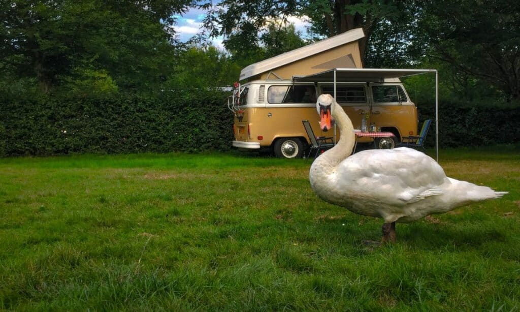 Rural RV Parking