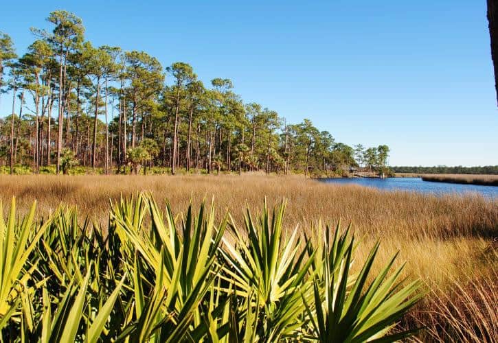 Campgrounds Florida East Coast: The Ultimate Guide 2 image 1