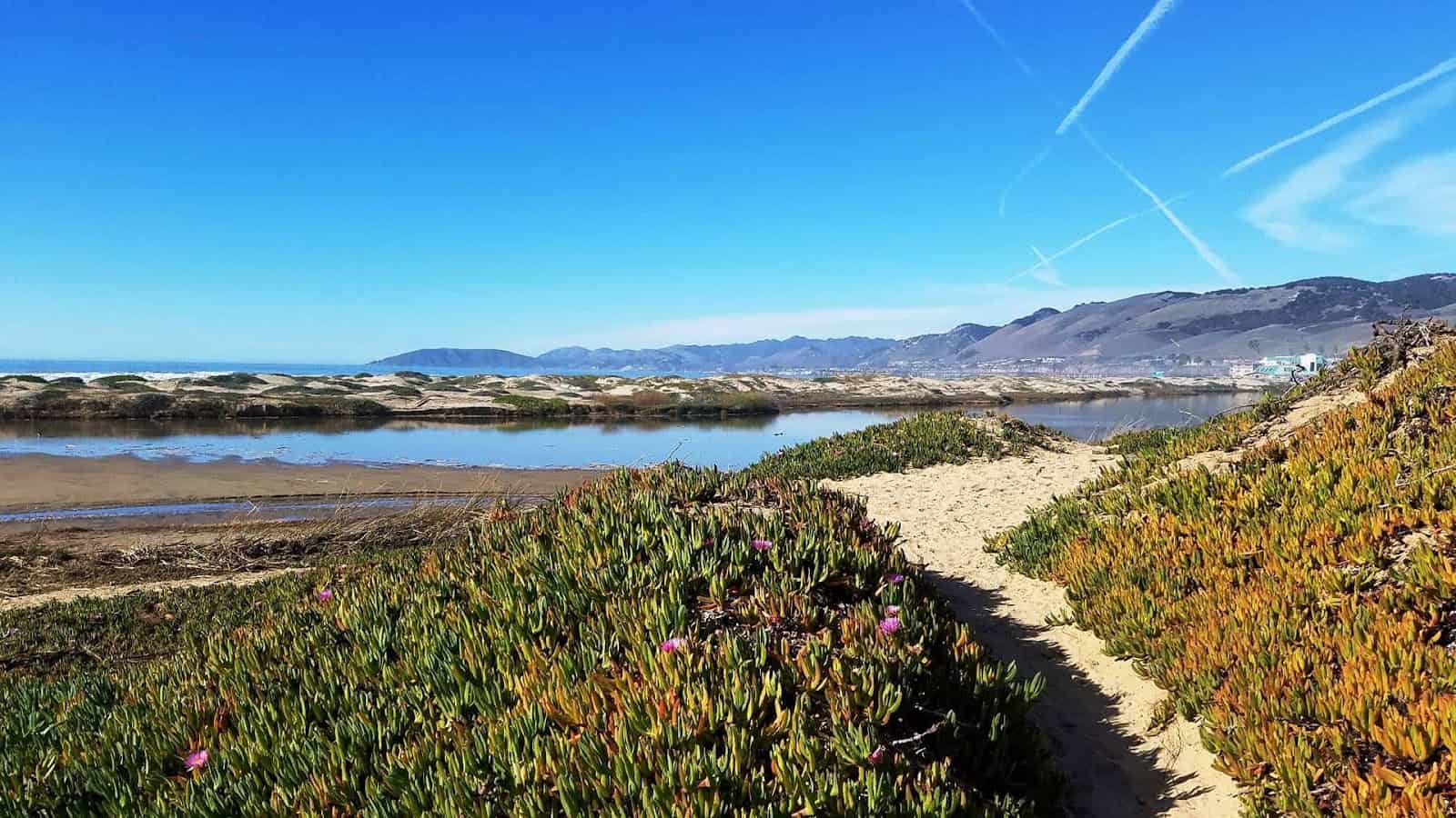 Ultimate Guide To Beach Camping In California: Top Spots, Tips & Must-Haves 3 image 17